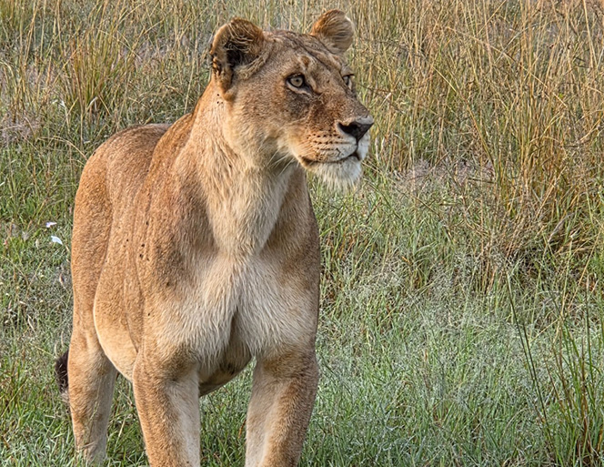 Travel N' Relax is the Leading Luxury Travel Agent for Kenya Vacations