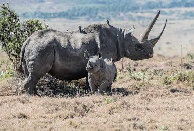 Discover Kenya! A Land of Contrasts